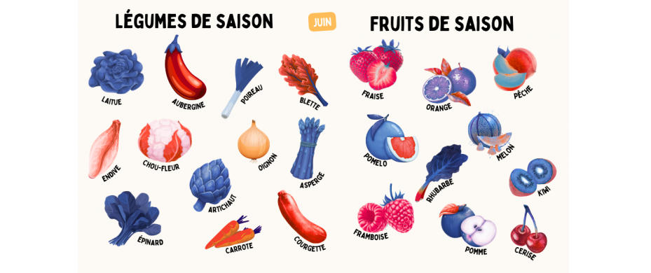 Les fruits et légumes de saison